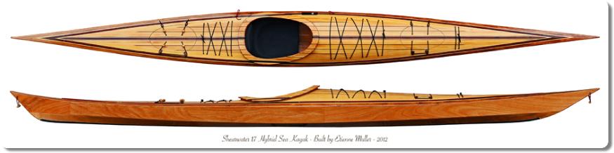 Shearwater1