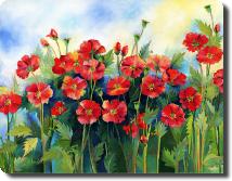 Poppies1