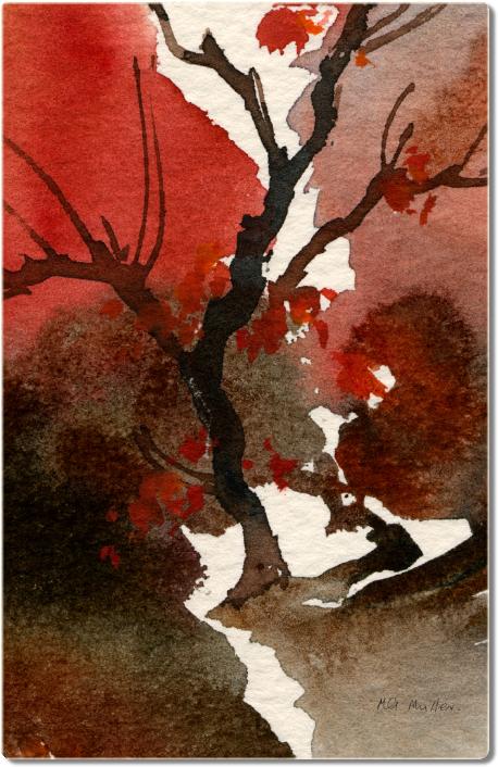 JapaneseMaple3