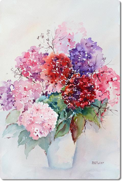 Hydrangea
