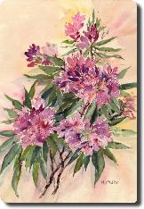 rhododendrons