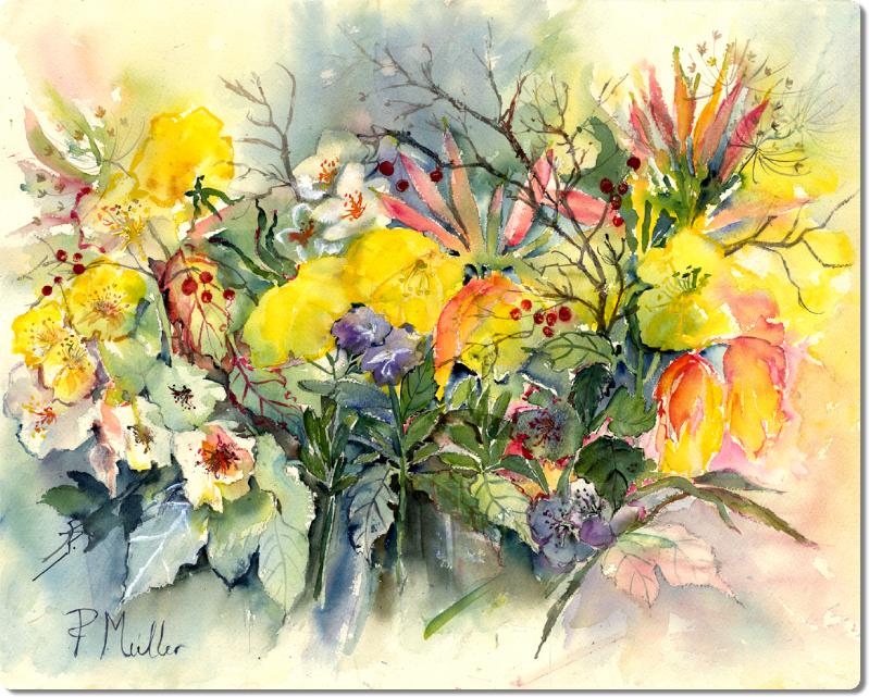 EveningPrimrose2