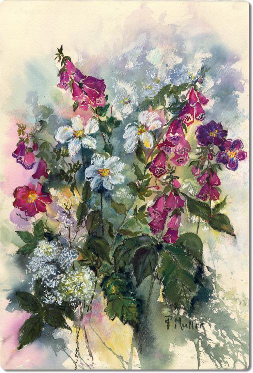 Foxgloves