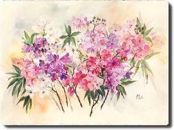 Rhododendron1