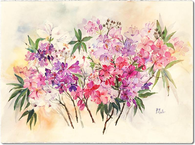 Rhododendron3
