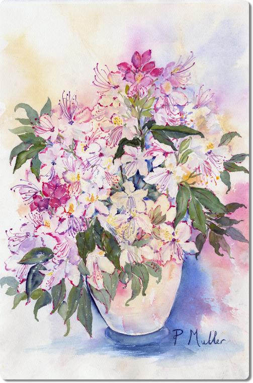 WhiteRhododendron