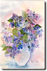 bluelacehydrangea