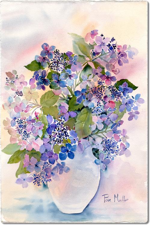 bluelacehydrangea