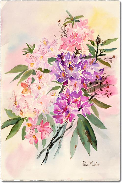 rhododendron2