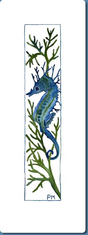 Seahorse3