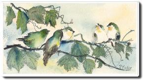 songbirds