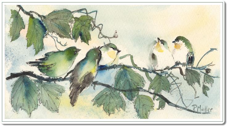 songbirds
