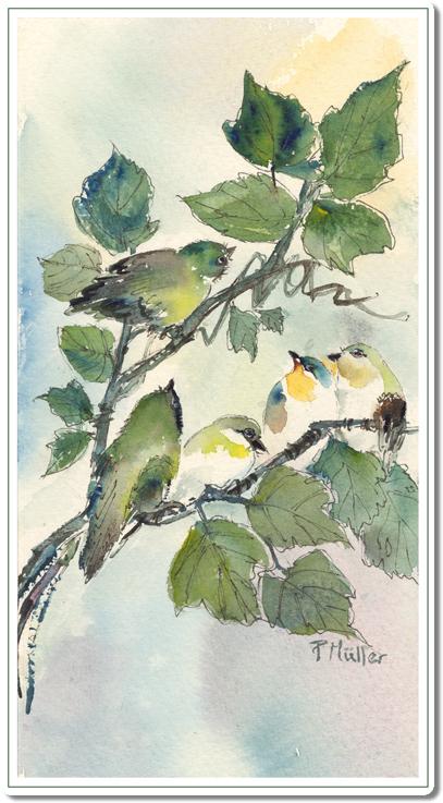 Songbirds2